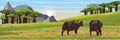 A herd of black African buffalo. African savannah, baobab thickets and high mountain ranges. Realistic vector landscape